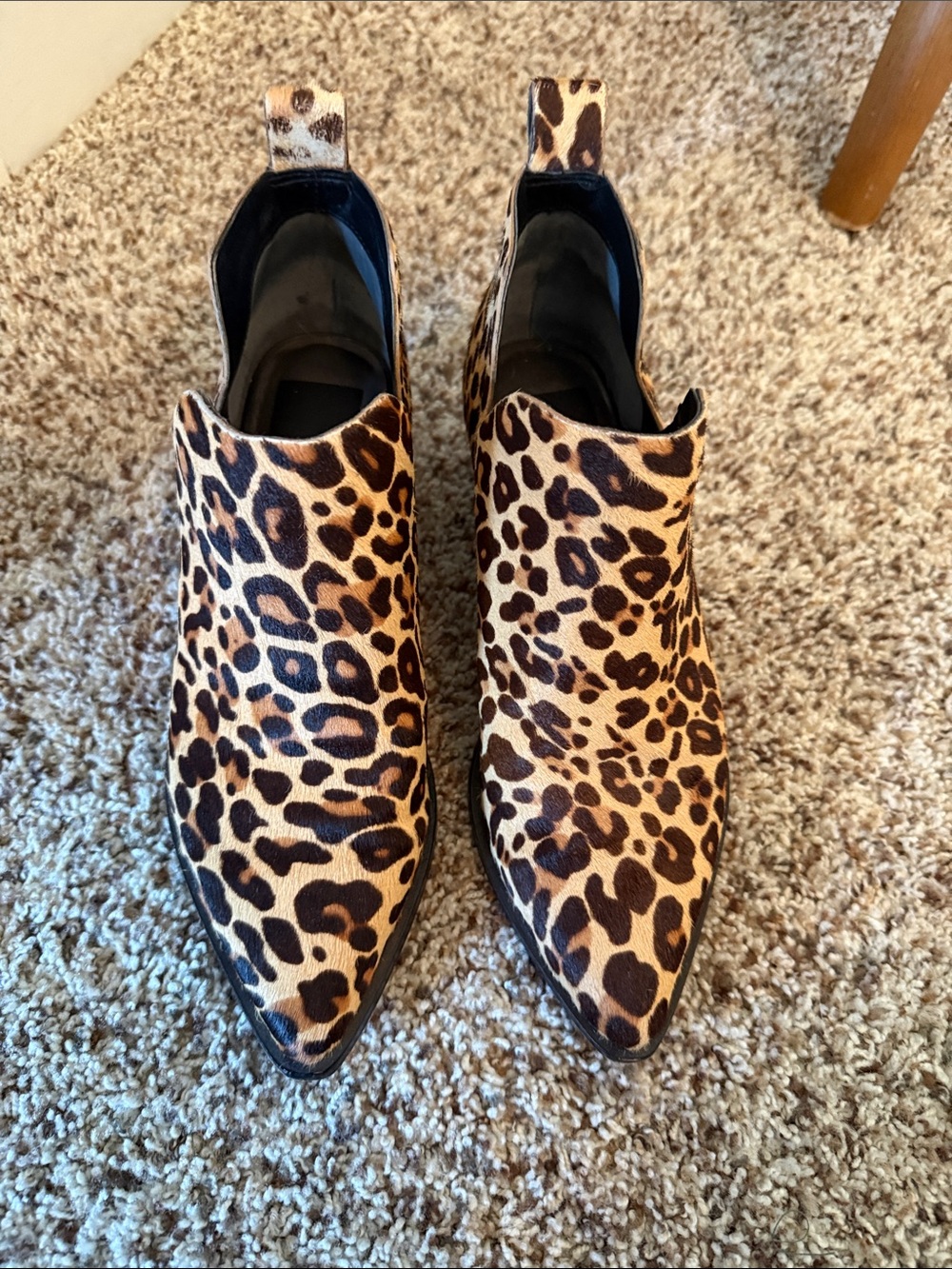 Dolce Vita Leopard Print Booties- size 6